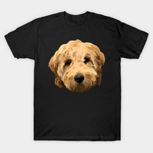 Goldendoodle Doodle T-Shirt